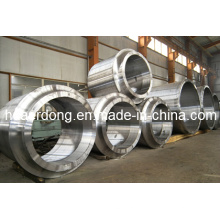 High-Neck Forgings (j002)